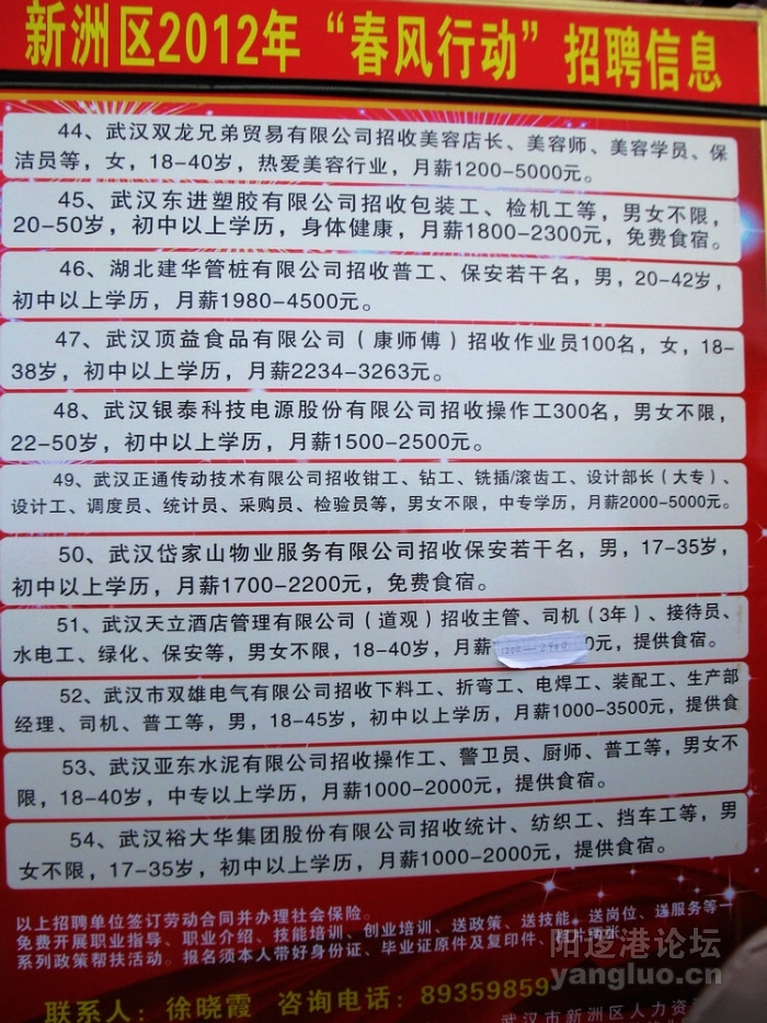 阳逻在线最新招聘信息全面解析