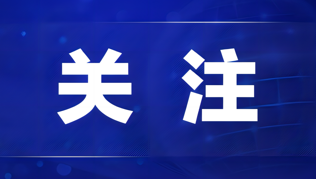 国内新闻最新消息概览，时事动态速览