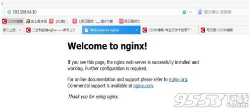 Nginx最新版本特性探索，优势与功能一览