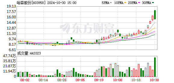 哈森股份最新消息综述，动态与发展概览