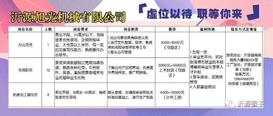 莱芜金点子最新招聘信息全面解析（电子版）