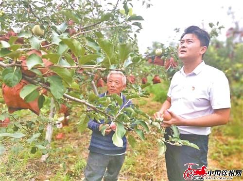 丰县人才网最新招聘信息汇总