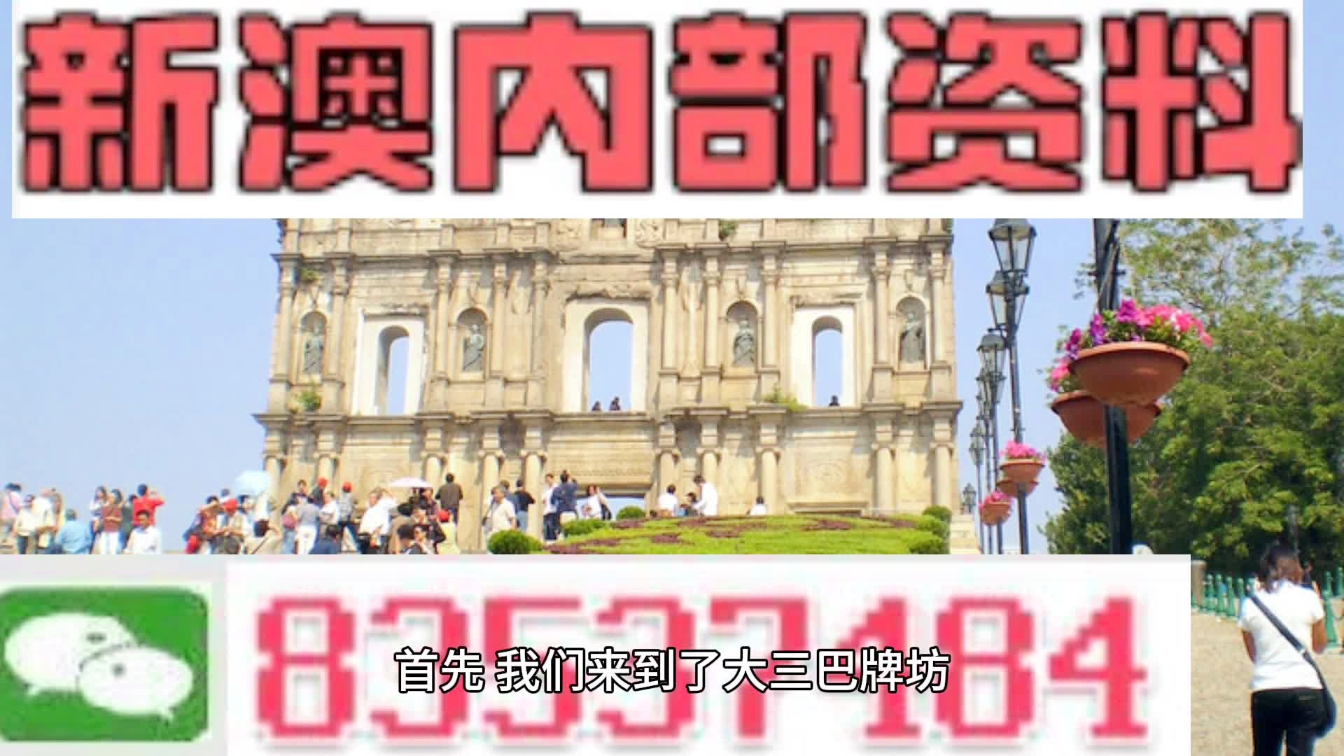 2024新澳精准资料免费,决策资料解释落实_进阶版16.413