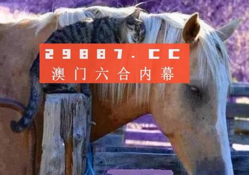 澳门必中一肖一码四不像,实效设计方案_入门版20.139