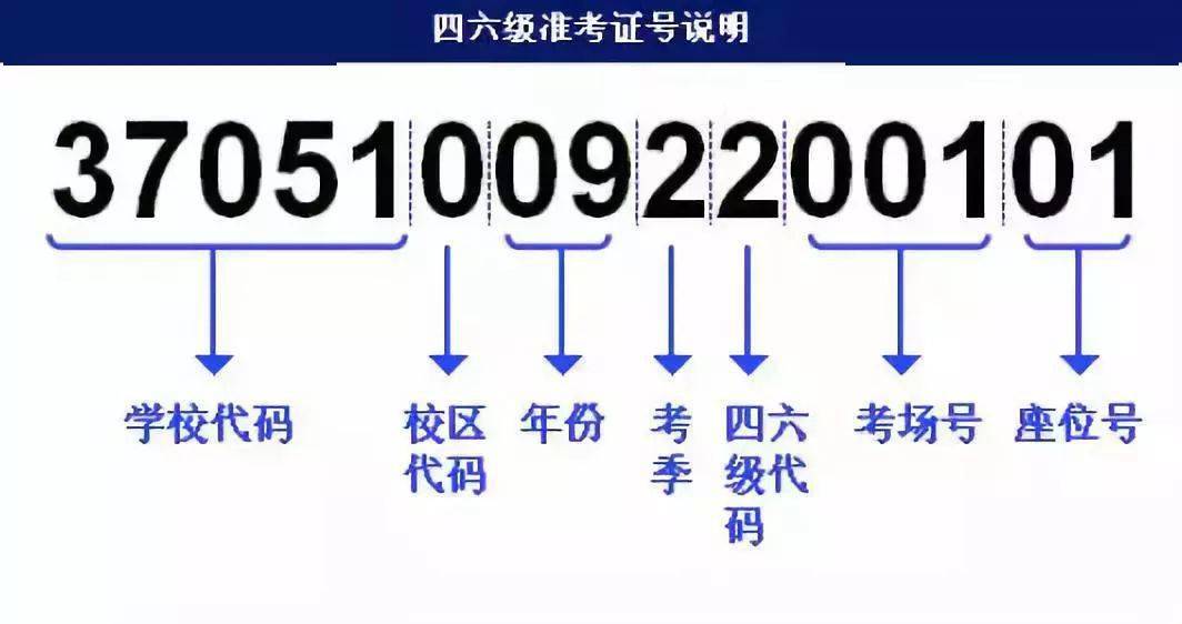 新奥彩资料长期免费公开,最新解答方案_探索版62.676