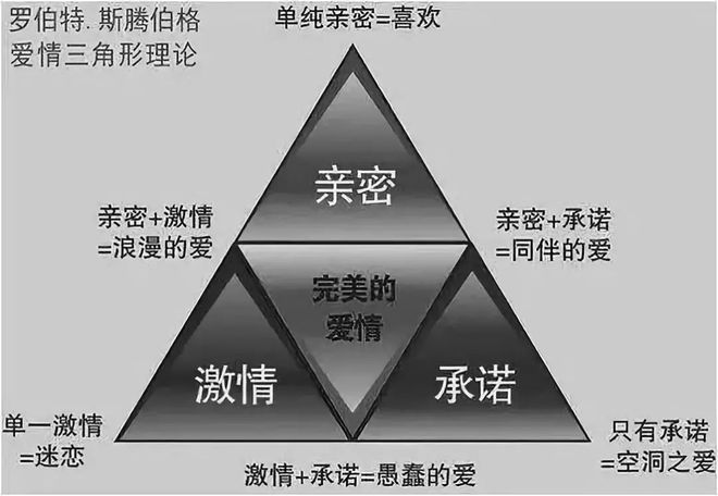 新澳天天开奖资料大全最新5,理论依据解释定义_10DM86.917