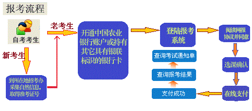 2024年新澳开奖结果公布,标准化流程评估_S50.443