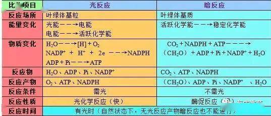 2024新澳精准资料大全,涵盖广泛的说明方法_mShop70.10