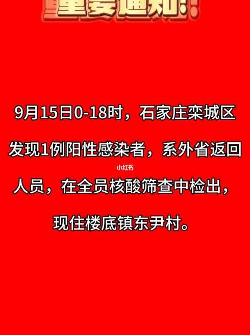 石家庄疫情最新动态，坚定信心，共克时艰