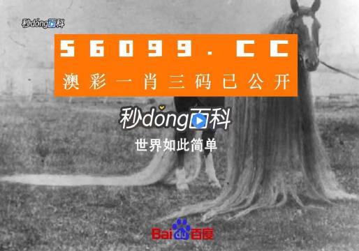 澳门一肖一码一必中一肖同舟前进,最新解答解析说明_Prime47.144