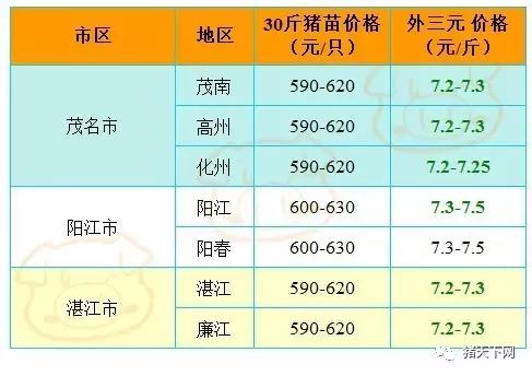 二四六天好彩(944CC)免费资料大全,专业分析解析说明_黄金版55.791