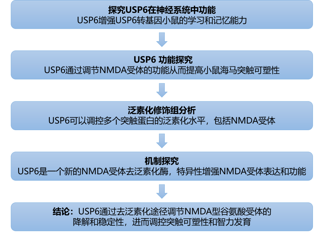 新奥最精准资料大全,符合性策略定义研究_专属版57.651