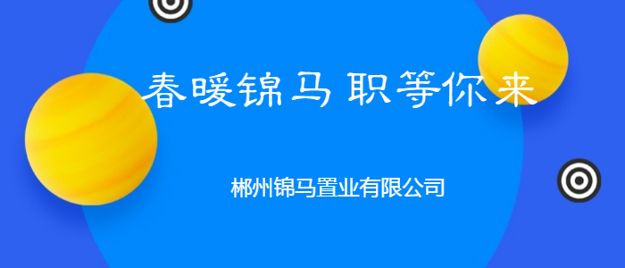 郴州招聘动态更新与职业发展趋势深度解析