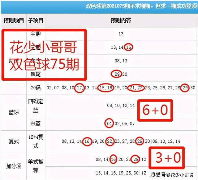 白小姐今晚特马期期准六,可靠性策略解析_Lite56.937