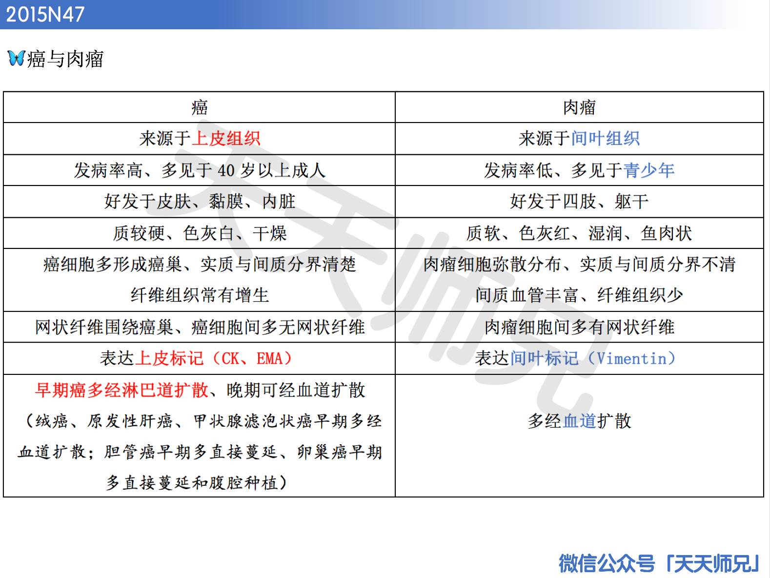 仅有一颗心。 第5页