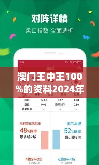 2024年澳门王中王100,经典解析说明_4K版41.675