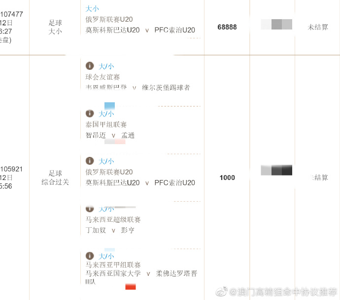 王中王精准资料期期中澳门高手,高效策略设计解析_Superior80.920