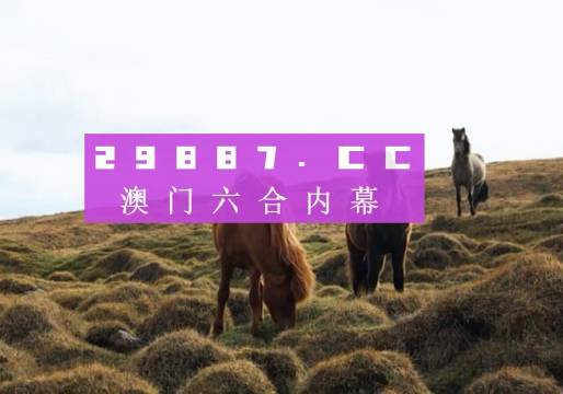 澳门4949开奖现场直播+开,稳定性策略设计_豪华版41.989