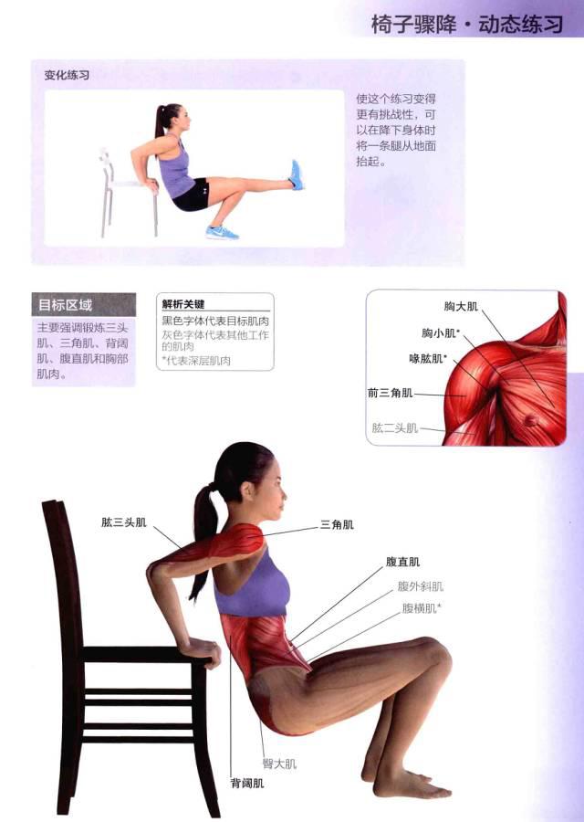 新奥门特免费资料大全管家婆,稳定性方案解析_动态版10.135