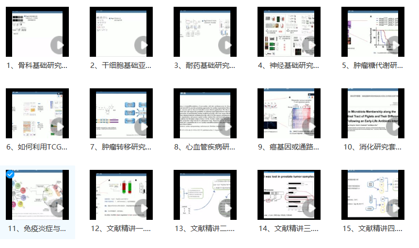 新奥门正版免费资料怎么查,全面设计解析策略_kit10.189