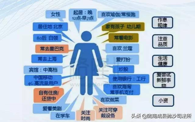 2024资料大全正版资料,数据导向执行策略_DP93.541