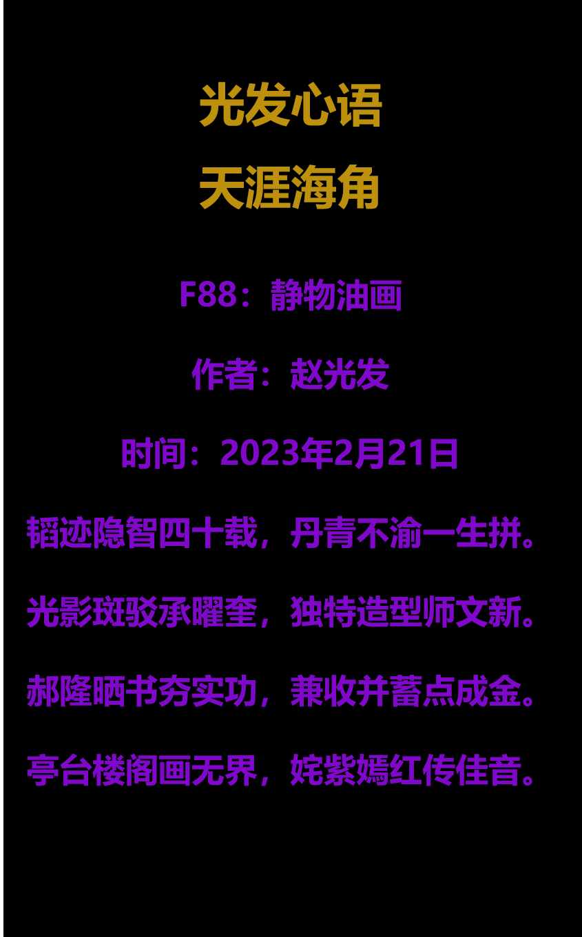 2024澳门天天彩资料大全,专家解答解释定义_AR53.109