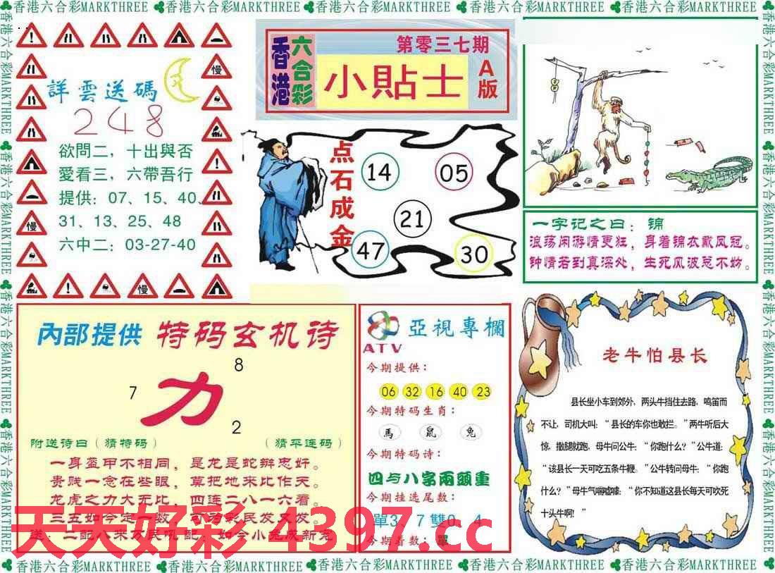 二四六246天天彩资料,实地研究解释定义_Z42.898