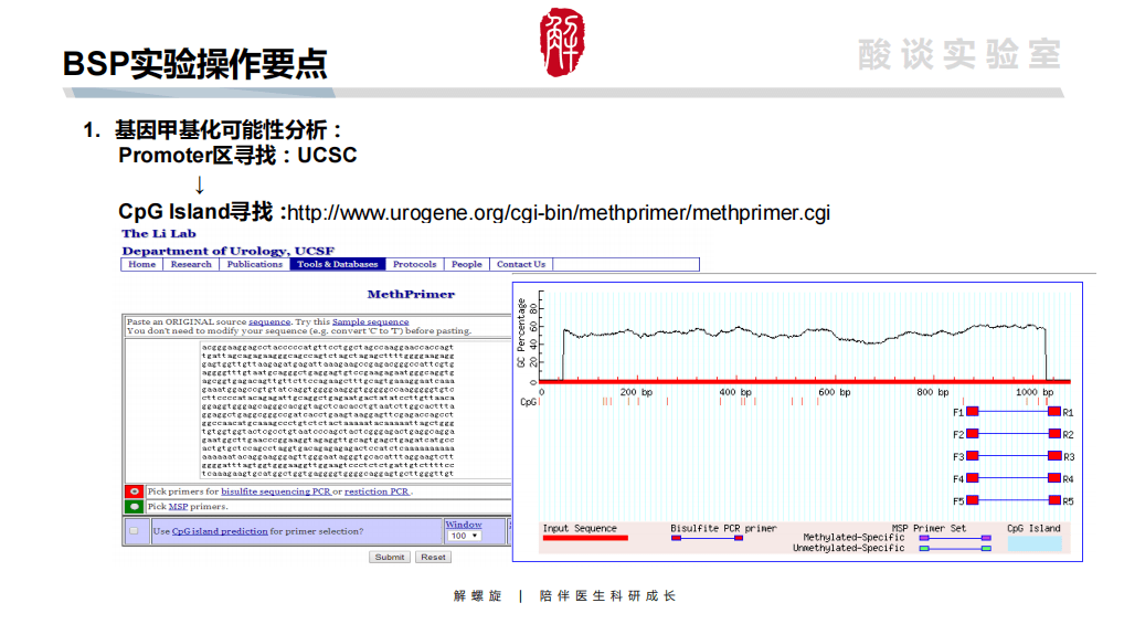 【小鱼儿论坛】资料专区,实地验证数据设计_Device93.244