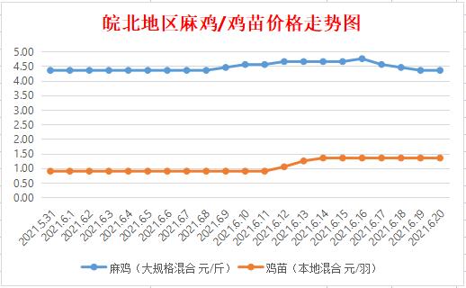 皖北麻鸡最新价格走势与市场分析报告