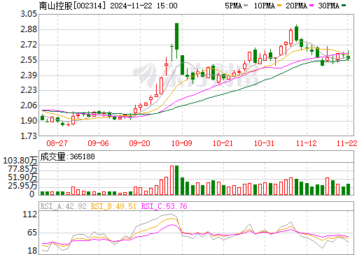 南山控股股票行情深度分析与展望，最新动态及未来趋势