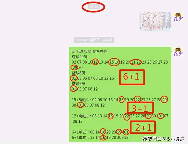 白小姐今晚特马期期准六,科学分析解析说明_BT86.281