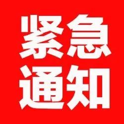 今日科技、社会与经济领域的重大更新快报