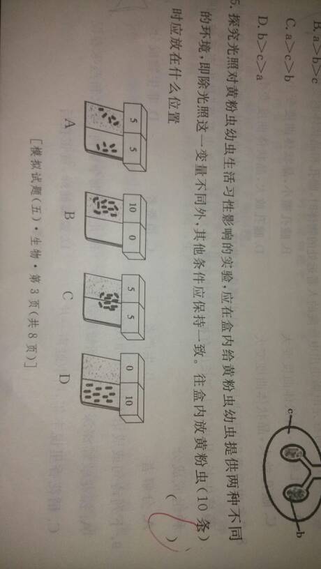 今晚澳门9点35分开什么,国产化作答解释落实_复刻款42.208