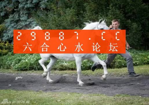 7777788888新版跑狗,深度解答解释定义_升级版9.124