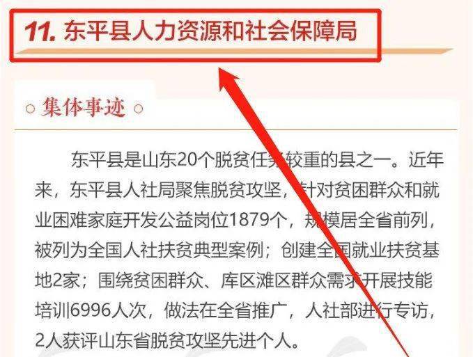 东平县人力资源和社会保障局项目最新进展与成效概览