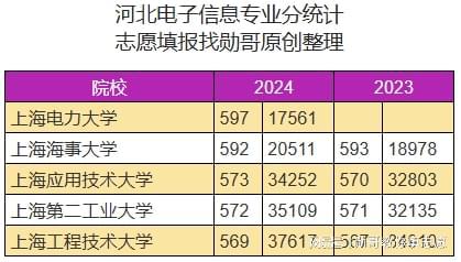 626969澳彩资料2024年,专业分析说明_soft68.233