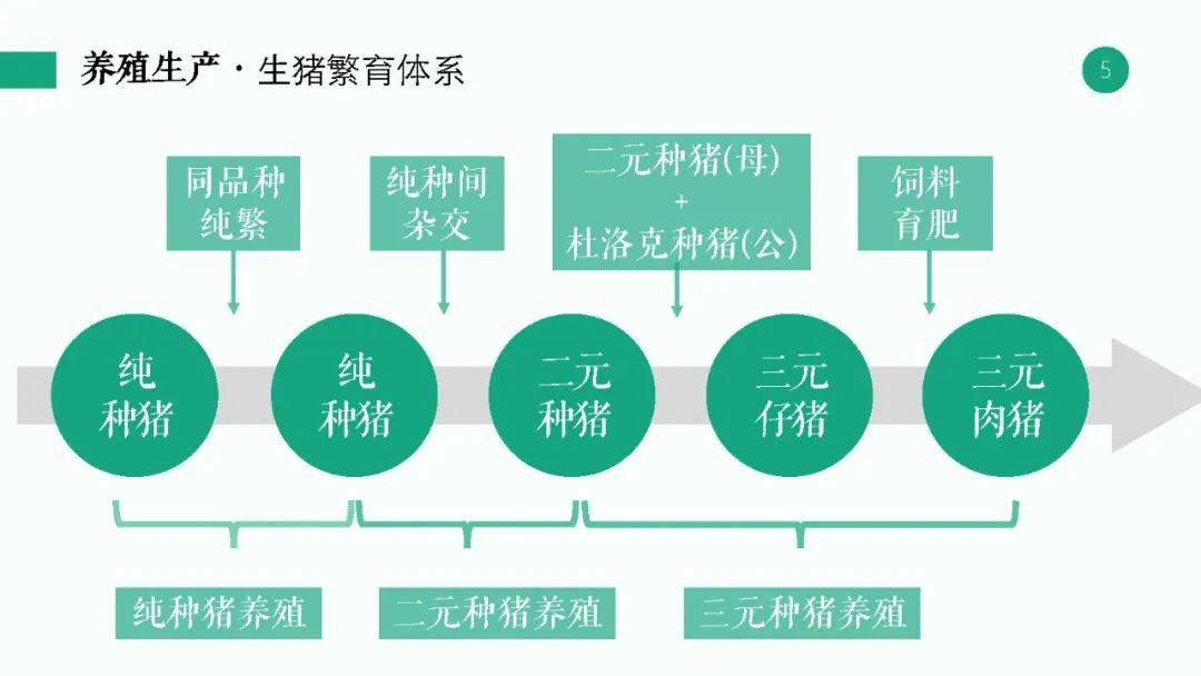 梦回仙境 第3页