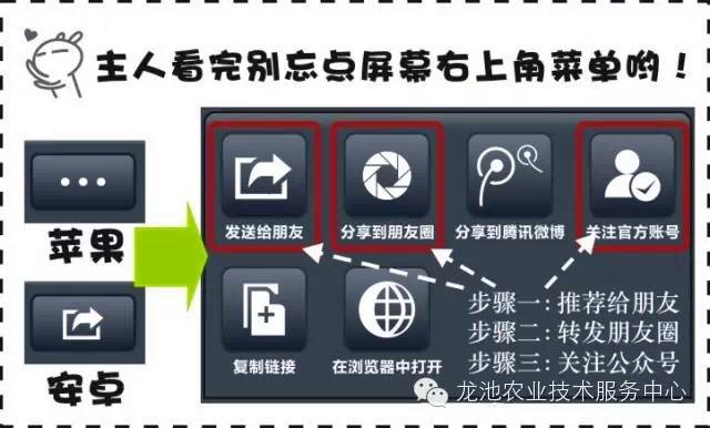 新奥正版免费资料大全,平衡策略指导_Z48.787