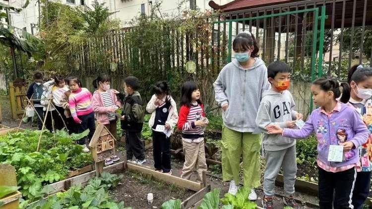 香花镇未来繁荣蓝图，最新发展规划揭秘