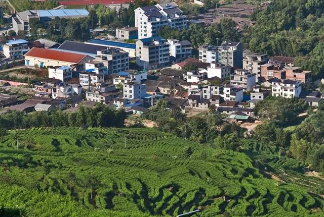 那若村重塑乡村，迈向繁荣新篇章