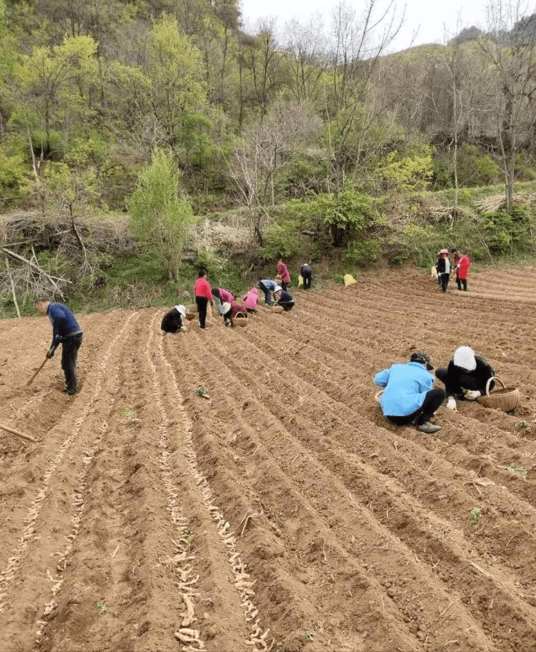 蓝天下的迷彩 第2页