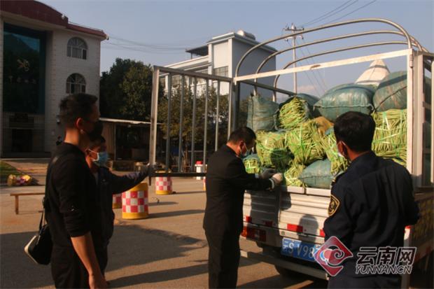 沧源佤族自治县防疫检疫站新项目推动地方防疫事业新发展，筑牢健康防线