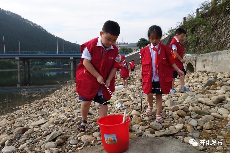 开化县小学新项目启动，探索现代教育新篇章