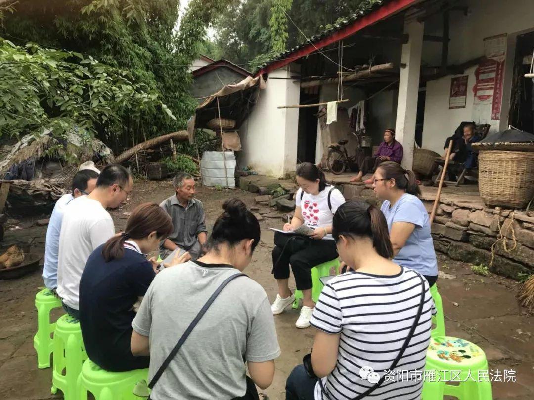 雁江区小学最新项目，教育革新之旅启程向未来