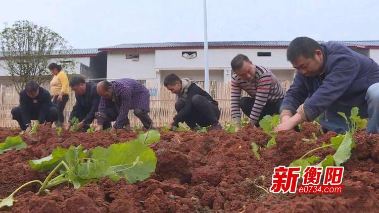 常宁市农业农村局新项目推动农业现代化助力乡村振兴