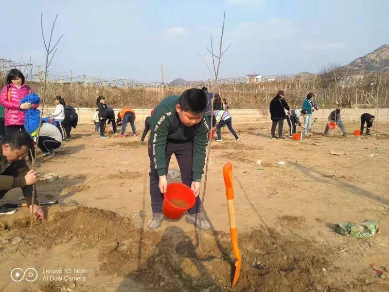 开平区康复事业单位推动服务发展，助力健康建设最新动态