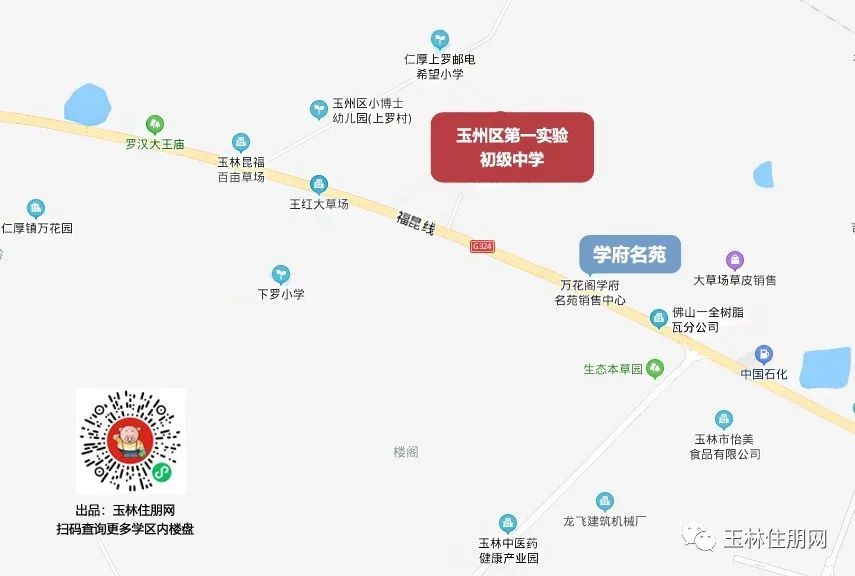 玉州区初中未来教育蓝图，最新发展规划揭秘