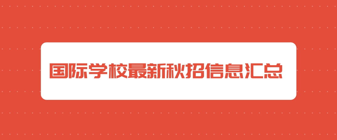 延长县小学最新招聘信息与教育发展趋势展望简介