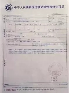 枣阳市防疫检疫站人事任命揭晓，塑造未来防疫新篇章