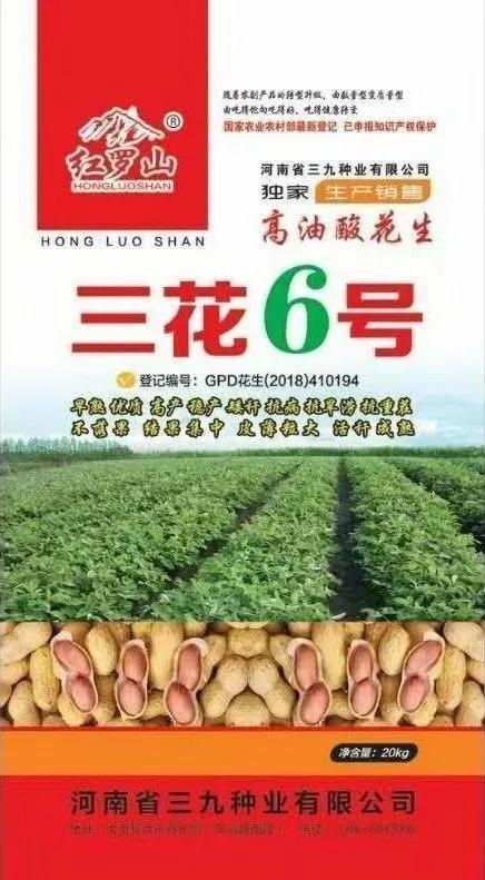 惠农区科技局规划打造科技创新高地，助力区域经济发展新篇章